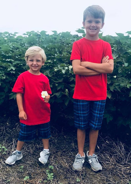 Cotton Trousers Plaid Shorts - Imperfect